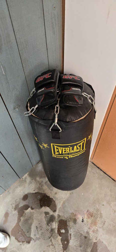 Everlast Punching Bag + UFC Gloves