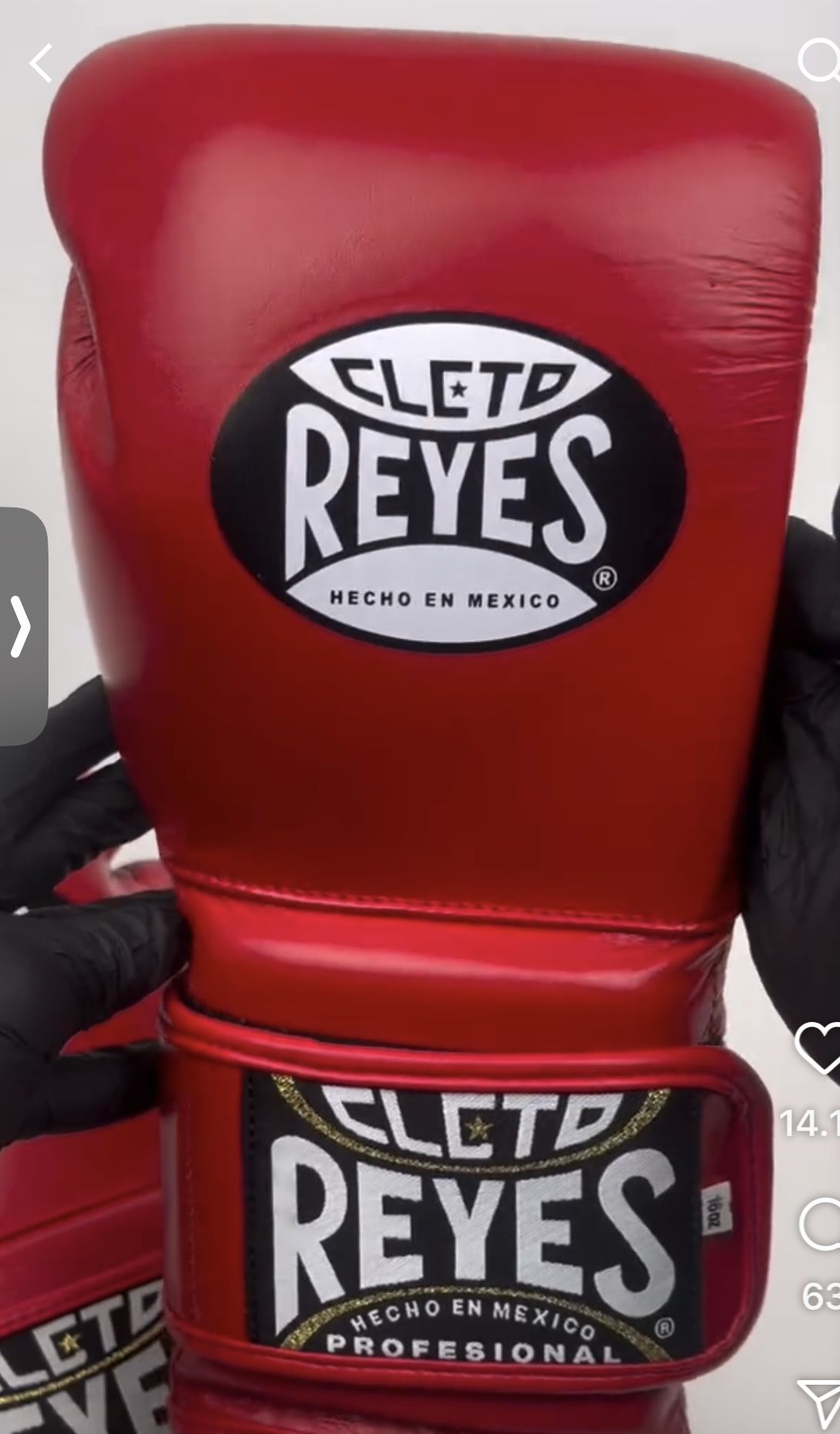 Cleto Reyes Professional Boxing Gloves 