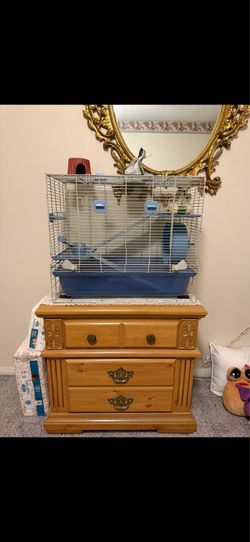 Hamster