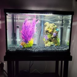 Fish Tank With Stand 20 Gal.