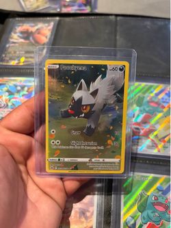 Poochyena (pokemon)