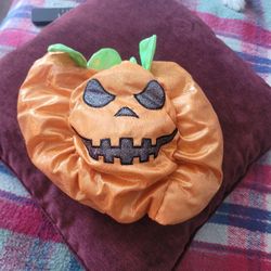 Small Dog Pumpkin Costume