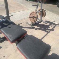 Bench Gym Equipment 