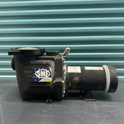 SMF Waterway Pool Pump