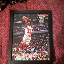 Michael Jordan Chicago Bulls Framed Photo