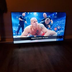 55" GOOGLE 4K UHD SMART TV 