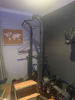 Pull Up/Dip Station