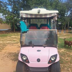 Electric Golf Cart With Charger Seats 2 To 4 People Cushy Seats