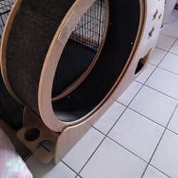 Free Cat Wheel