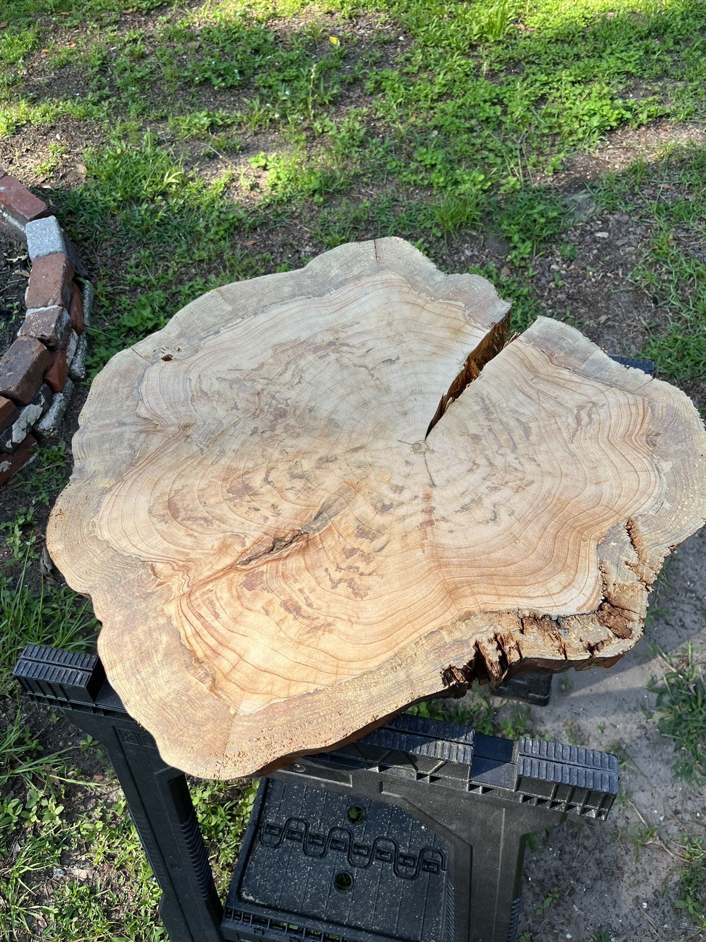 Cypress Cookie Slabs