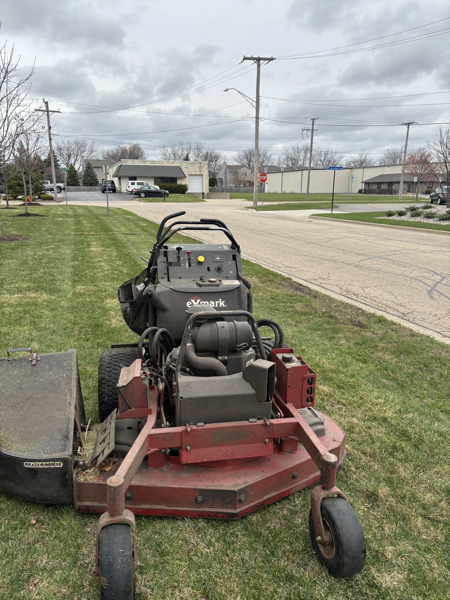 Cut Grass