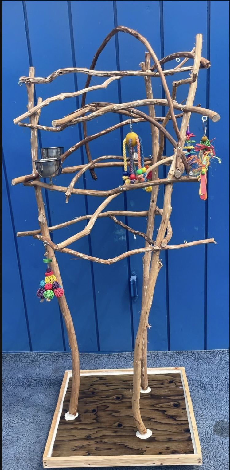 Small Bird Perch Tree … Nice Design With A 180 Degree Arch … A Socializer ! 👍🏼