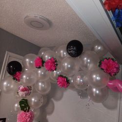 Stella's Rose's ⚘️⚘️⚘️⚘️⚘️