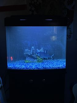 Fish Tank Aquarium Fresh Or Saltwater  Thumbnail