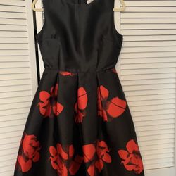 Prom/Homecoming Dress