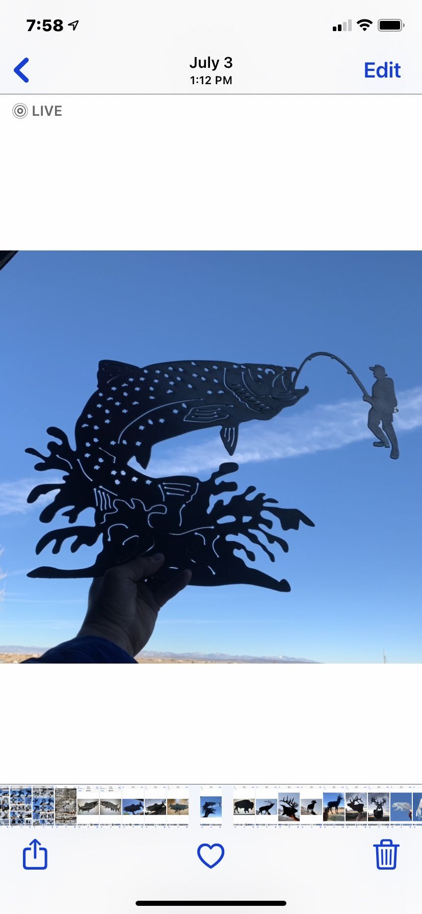 Trout Silhouettes 16 Gauge Steel 28” $28 each