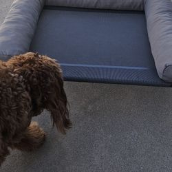 Dog Bed