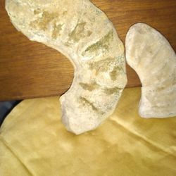 Aquarium & Flower Bed Fossils & Fossilized Art Decor Pieces Sold By Weight (Figure $10 For Small Plant Or Aquar.)