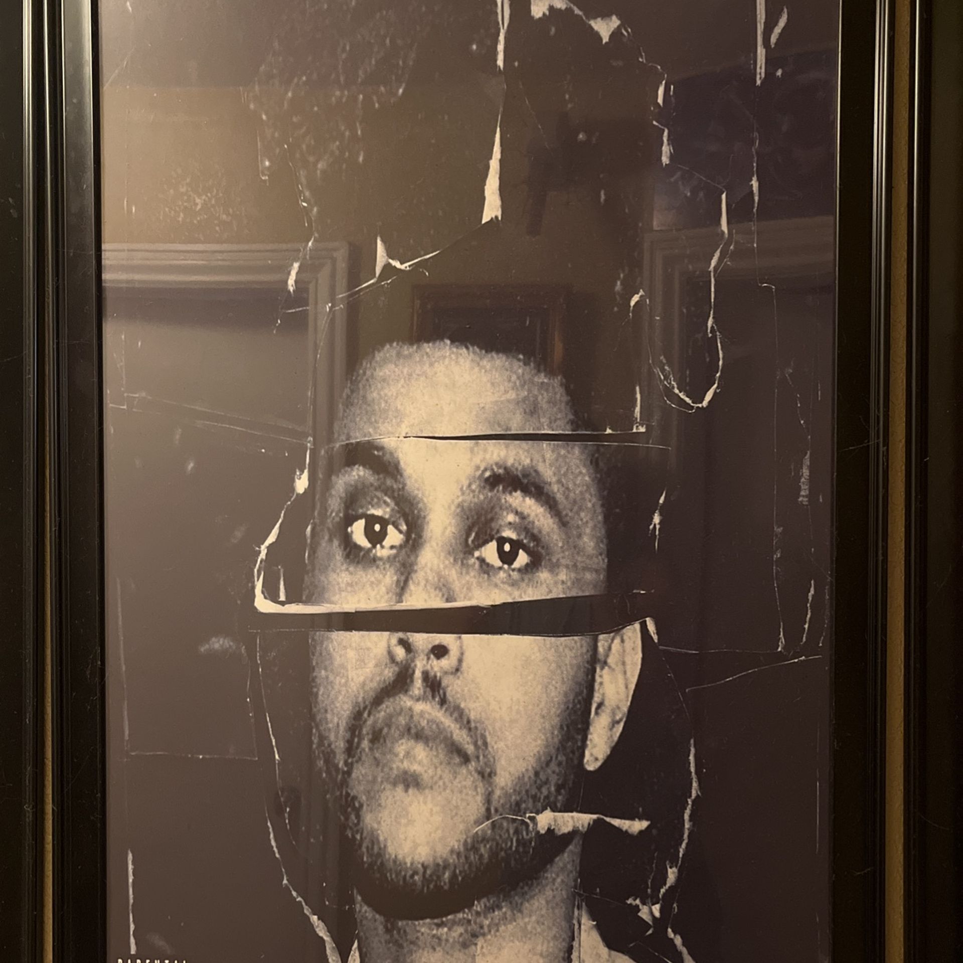 Beauty Behind The Madness Poster.