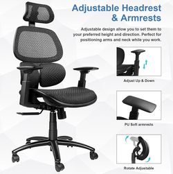 Ergonomic Office Chair