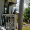 Zuly