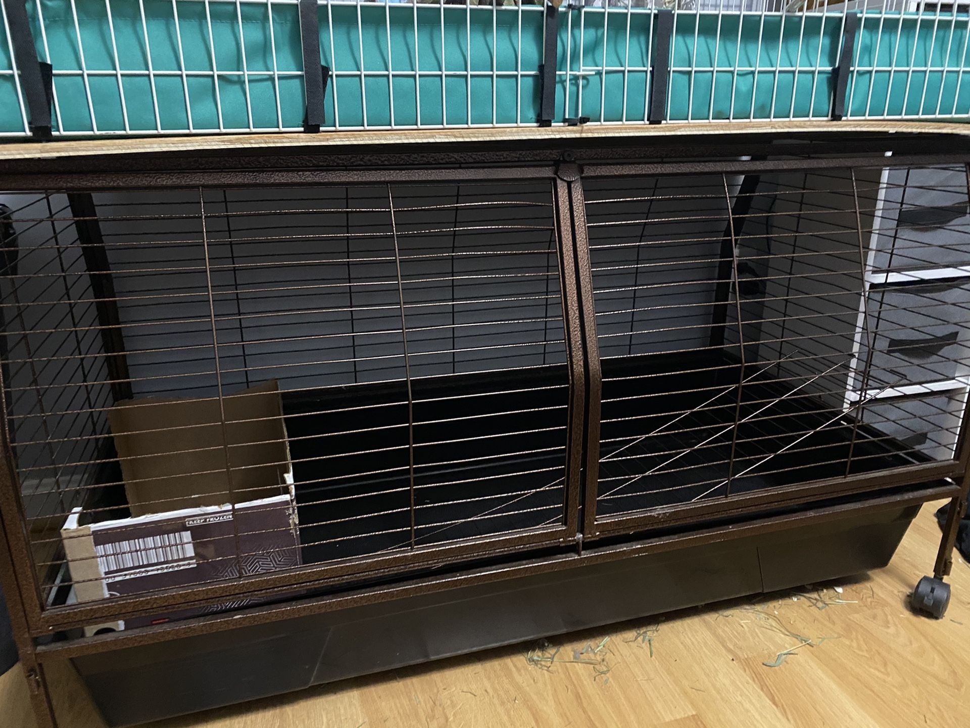 Guinea pig cage