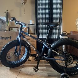 Diamondback fat tire bike hotsell