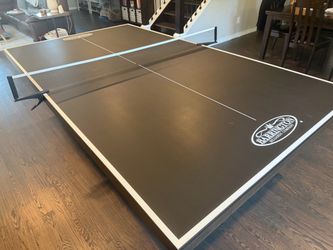 Ping Pong Table