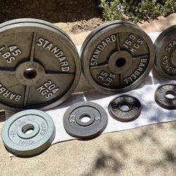 Olympic Work Out Steel Weights 