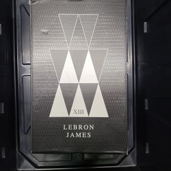 Lebron Shoes XIII