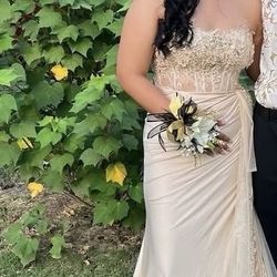 Champagne Prom Dress 