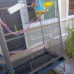 2 Big Bird Cages