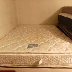 Queen Double Pillowtop Mattress And Box Spring 