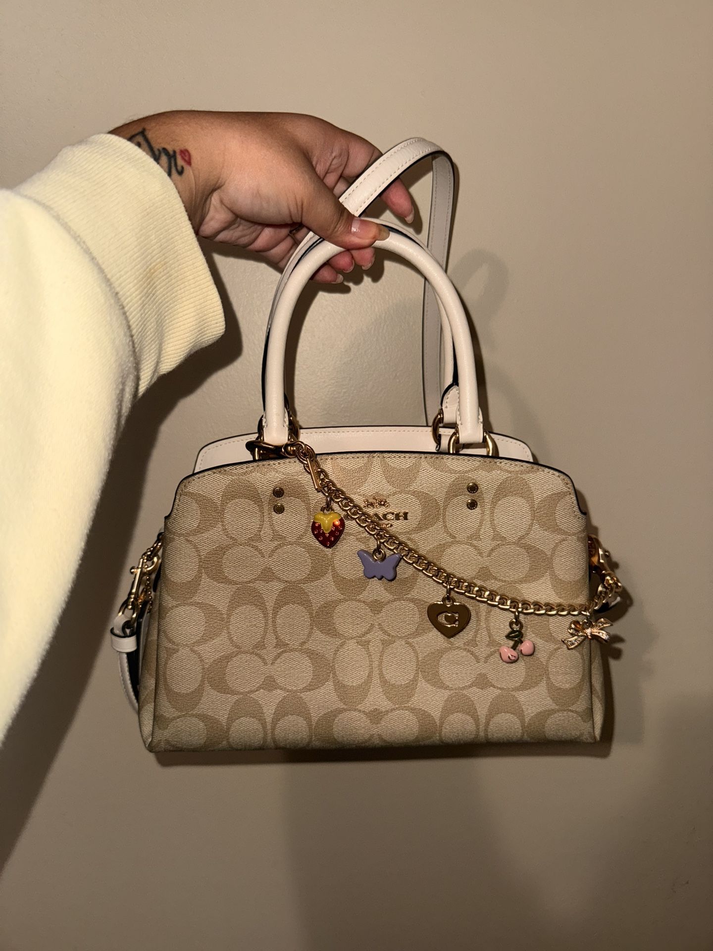 Coach Mini Lillie Carryall π