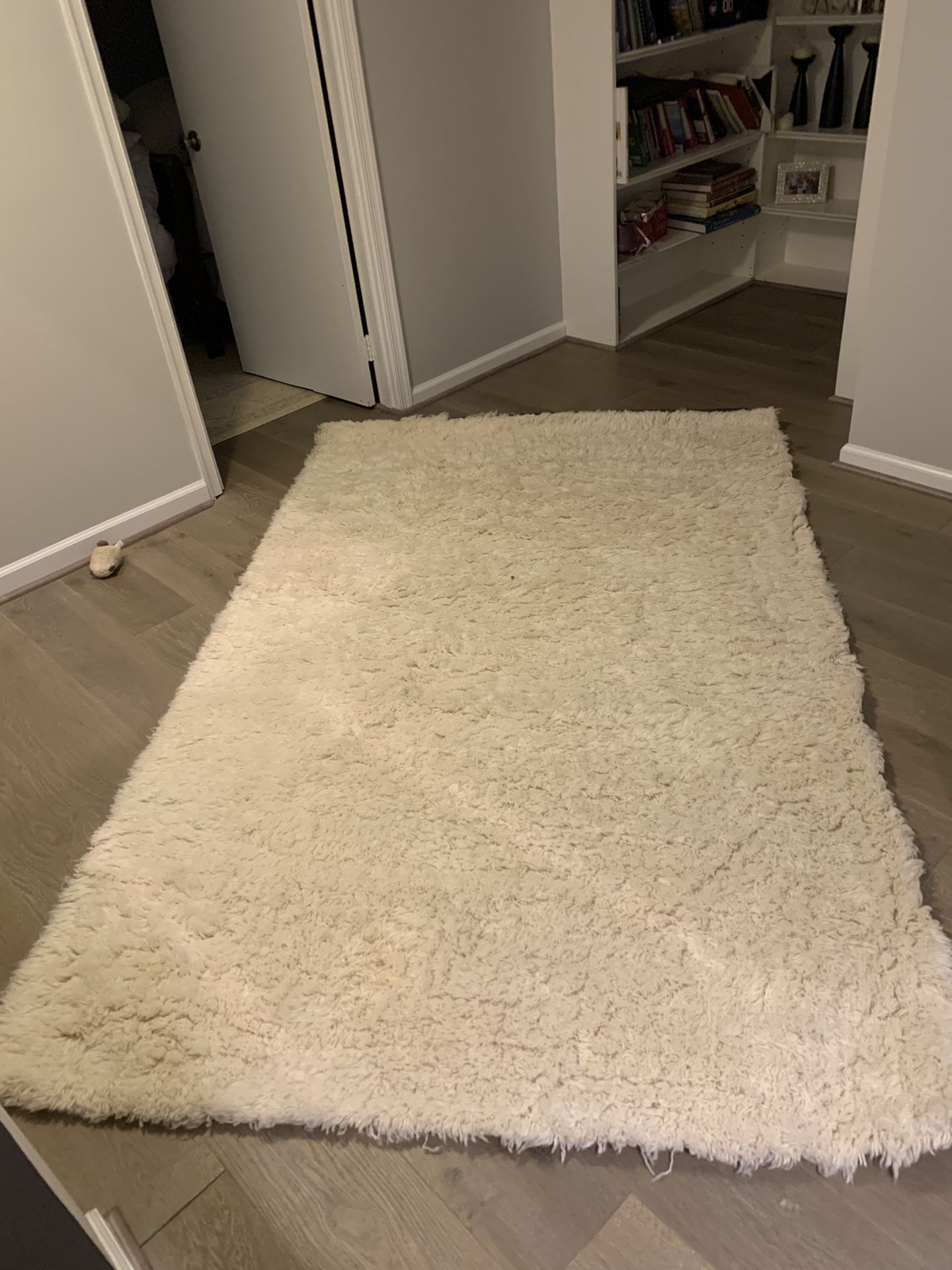 5x8 shag rug - like new