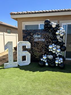 Balloon Garland And Decorations 