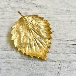 Gold Tone Leaf Pin/brooch