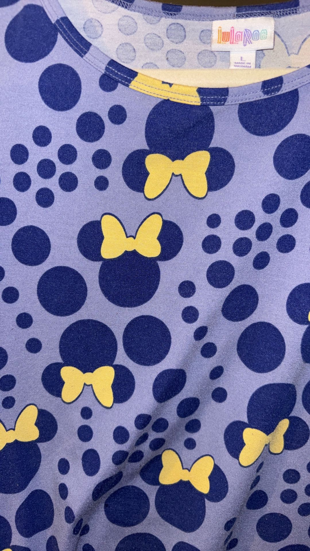 LuLaRoe IRMA Disney RARE Princess