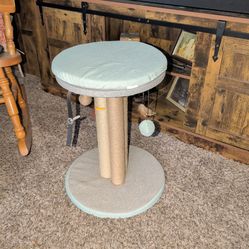 Kitty scratch toy with seat.