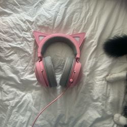 Kitty razor headset