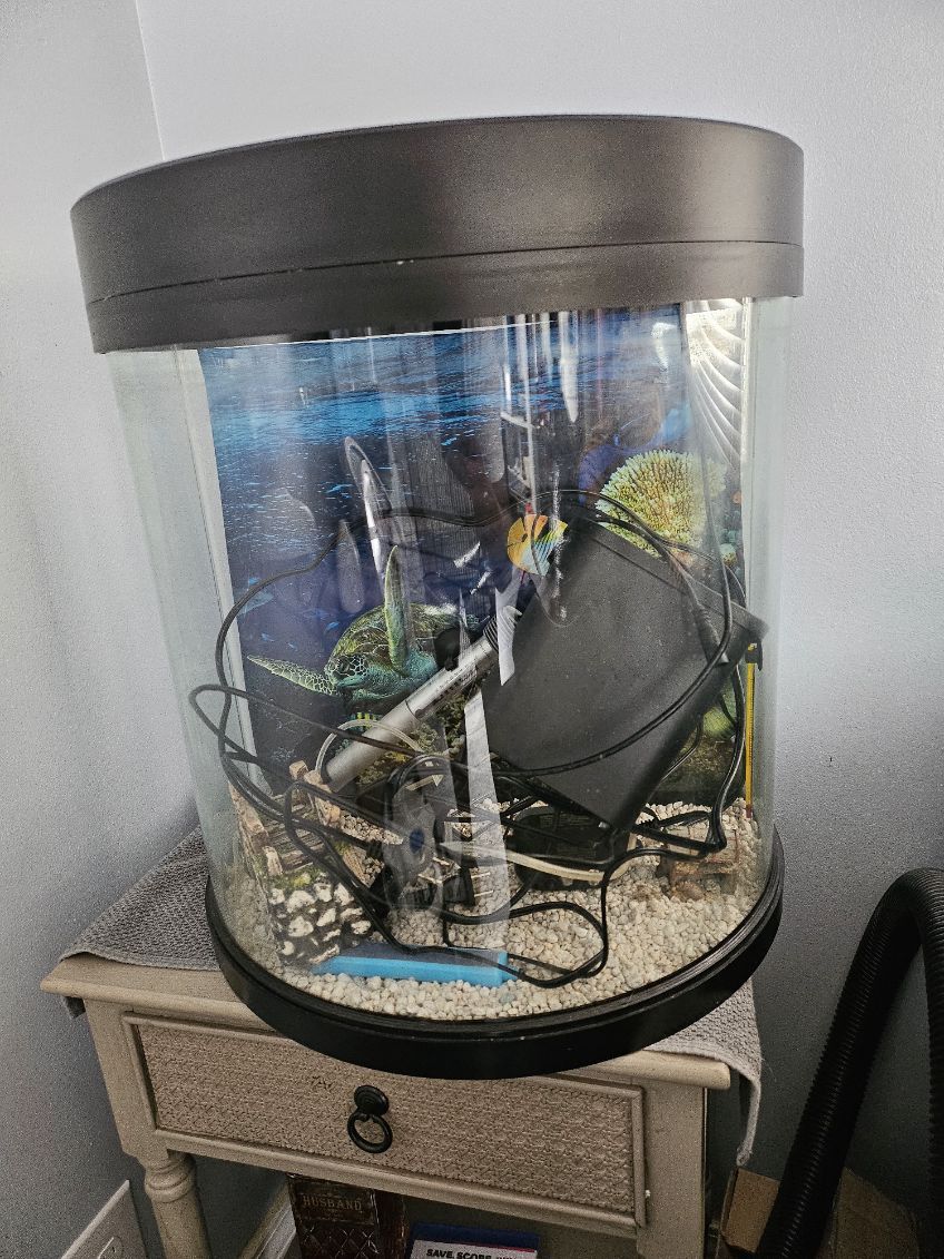 Fish Tank