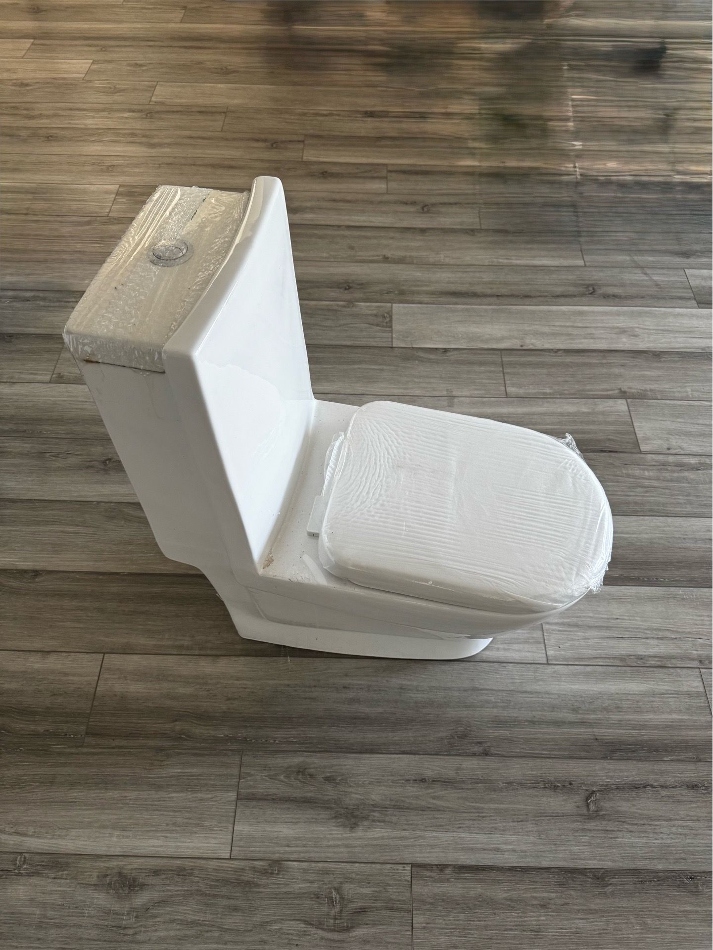 European Style Toilet