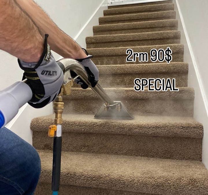 Carpet Steam Cleaning Deep Cleaning