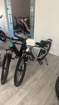 Adult skinny tire Ebike for 500