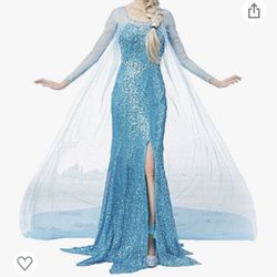 Frozen Elsa Wig And Dress 