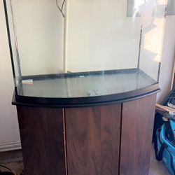 Aquarium With Stand (Includes All Necessities)