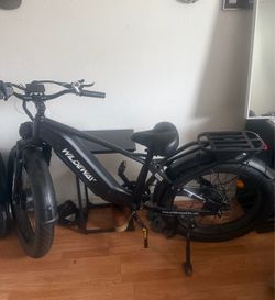 Wildeway Fat Tire E- Bike