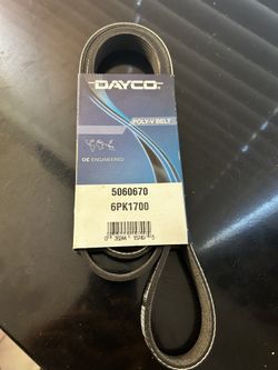 Mustang 5.0 Drive Belt 