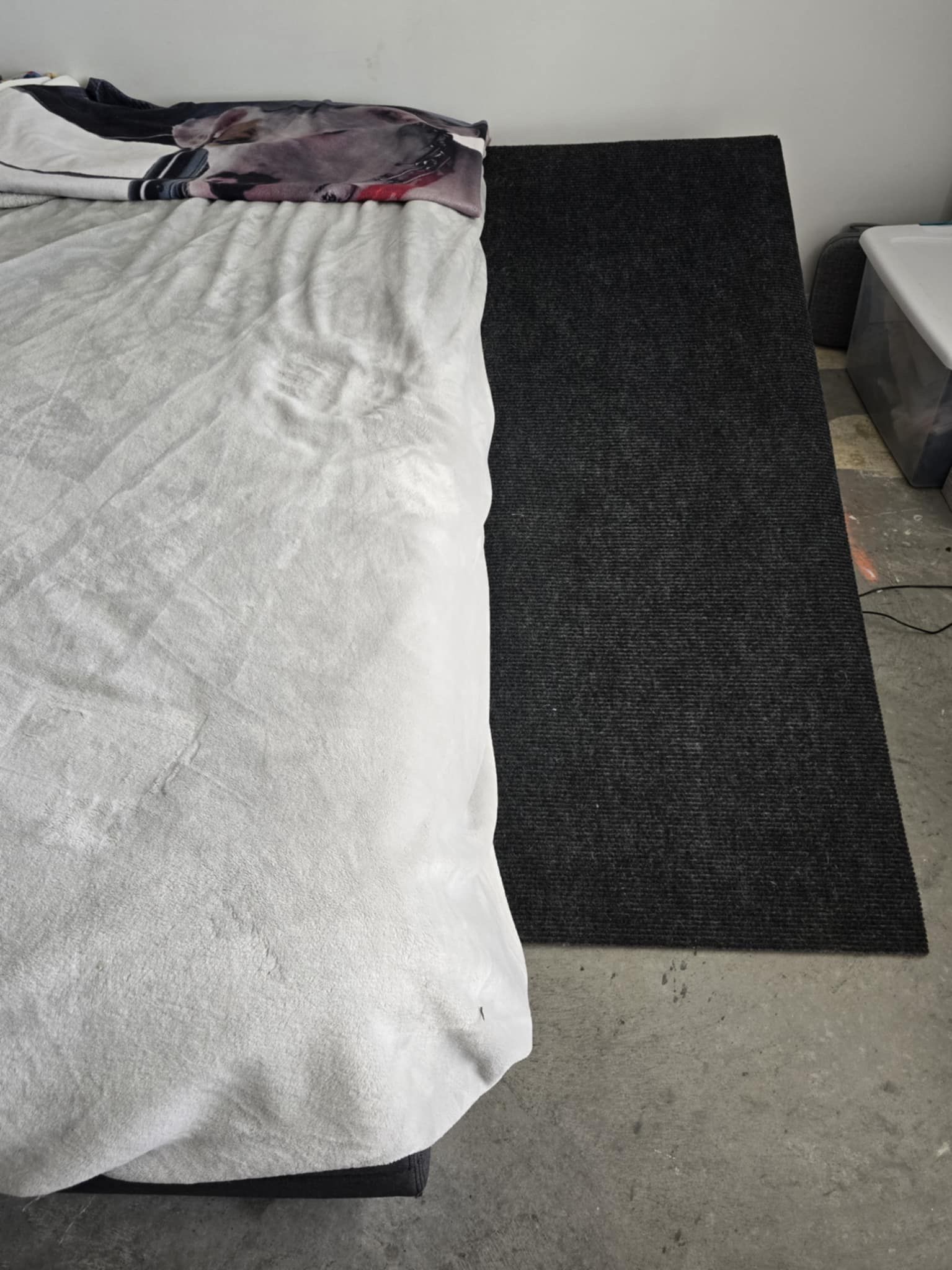 Dog Ramp, to help climb on bed/couch