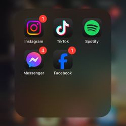 iPhone 13 With TikTok